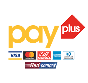 Pagar con WebPay